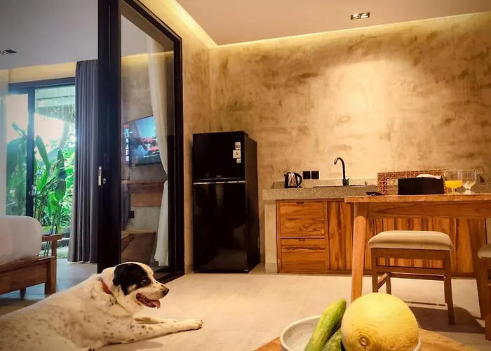 Pigstone Design Beachfront アパート