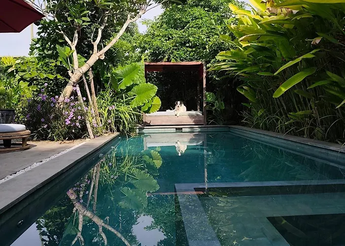 Pigstone Design Beachfront